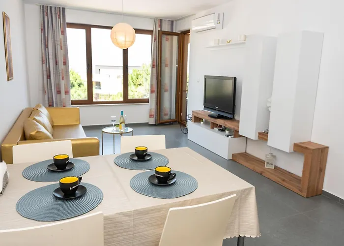 Paradise View Guest 公寓 索佐波尔